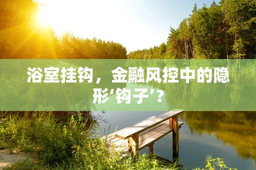 浴室挂钩，金融风控中的隐形‘钩子’？