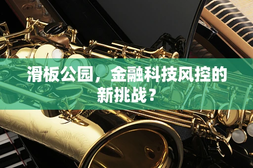 滑板公园，金融科技风控的新挑战？
