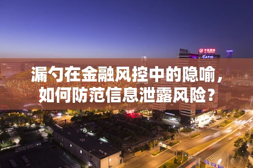 漏勺在金融风控中的隐喻，如何防范信息泄露风险？