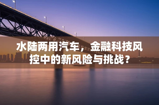 水陆两用汽车，金融科技风控中的新风险与挑战？