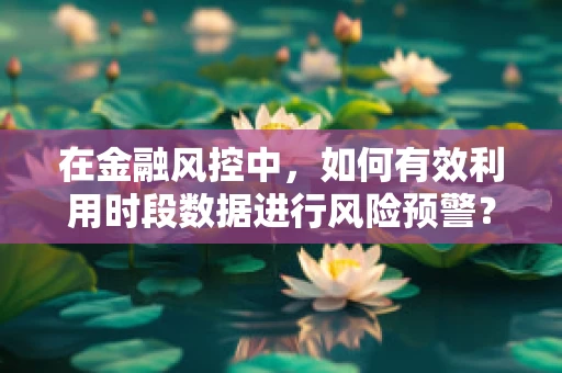 在金融风控中，如何有效利用时段数据进行风险预警？