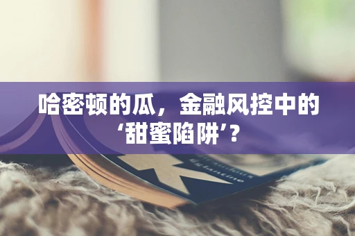 哈密顿的瓜，金融风控中的‘甜蜜陷阱’？