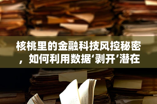 核桃里的金融科技风控秘密，如何利用数据‘剥开’潜在风险？