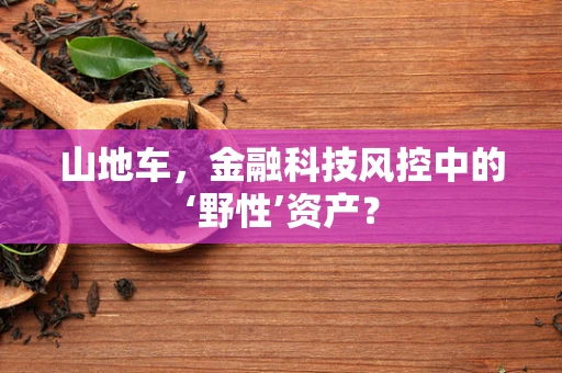 山地车，金融科技风控中的‘野性’资产？