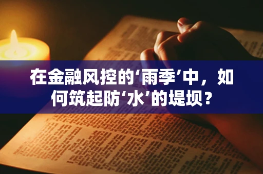 在金融风控的‘雨季’中，如何筑起防‘水’的堤坝？