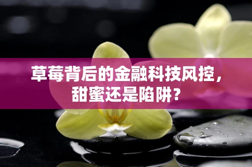 草莓背后的金融科技风控，甜蜜还是陷阱？