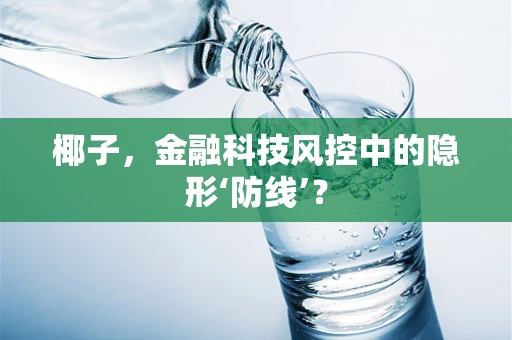 椰子，金融科技风控中的隐形‘防线’？