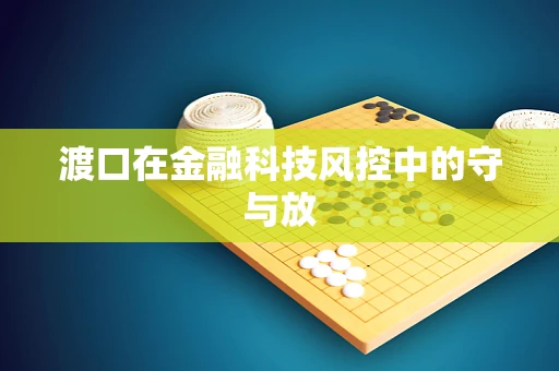 渡口在金融科技风控中的守与放