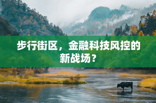 步行街区，金融科技风控的新战场？