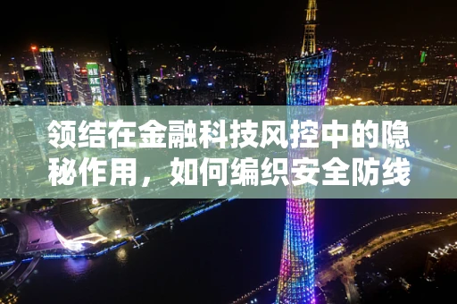 领结在金融科技风控中的隐秘作用，如何编织安全防线？