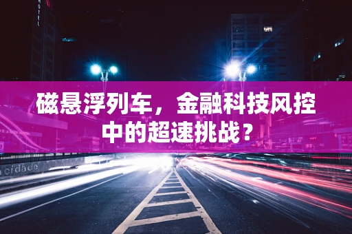 磁悬浮列车，金融科技风控中的超速挑战？