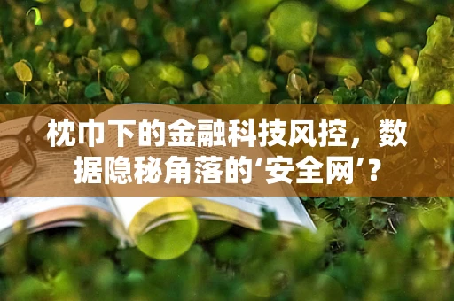 枕巾下的金融科技风控，数据隐秘角落的‘安全网’？