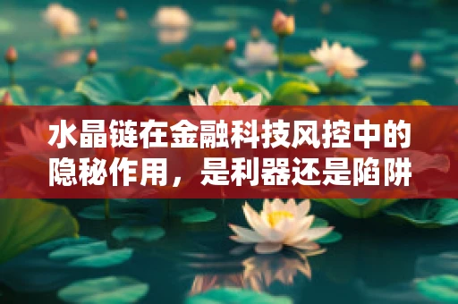 水晶链在金融科技风控中的隐秘作用，是利器还是陷阱？