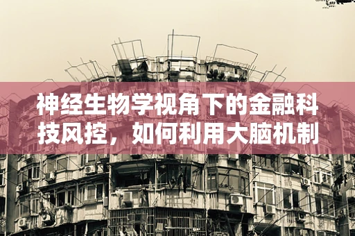 神经生物学视角下的金融科技风控，如何利用大脑机制提升决策精准度？