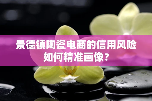 景德镇陶瓷电商的信用风险如何精准画像？