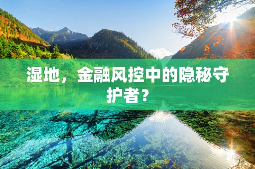 湿地，金融风控中的隐秘守护者？