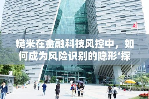 糙米在金融科技风控中，如何成为风险识别的隐形‘探照灯’？