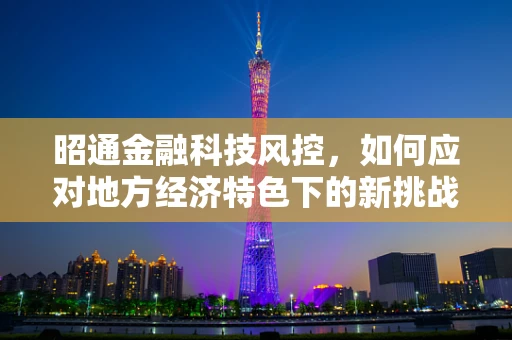 昭通金融科技风控，如何应对地方经济特色下的新挑战？