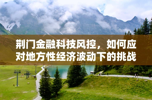 荆门金融科技风控，如何应对地方性经济波动下的挑战？