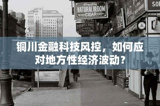 铜川金融科技风控，如何应对地方性经济波动？