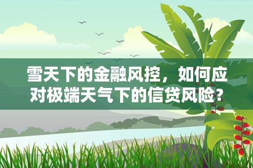 雪天下的金融风控，如何应对极端天气下的信贷风险？