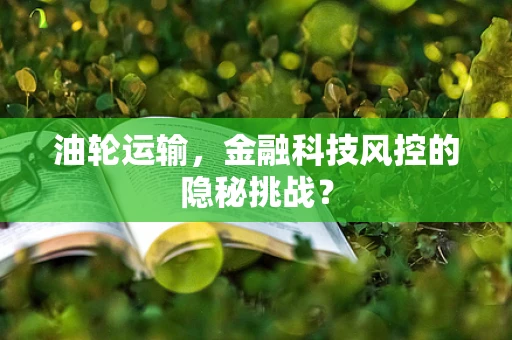 油轮运输，金融科技风控的隐秘挑战？