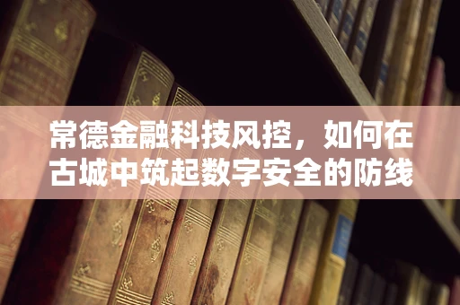 常德金融科技风控，如何在古城中筑起数字安全的防线？