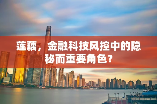 莲藕，金融科技风控中的隐秘而重要角色？