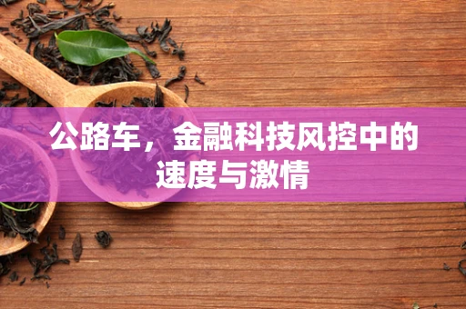公路车，金融科技风控中的速度与激情