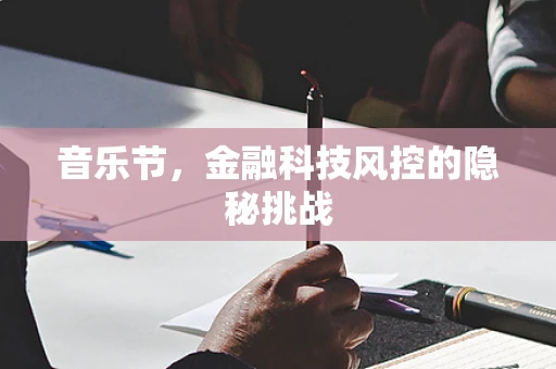 音乐节，金融科技风控的隐秘挑战