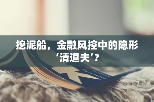 挖泥船，金融风控中的隐形‘清道夫’？