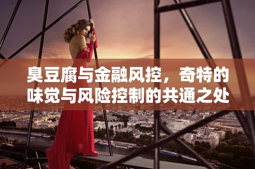 臭豆腐与金融风控，奇特的味觉与风险控制的共通之处