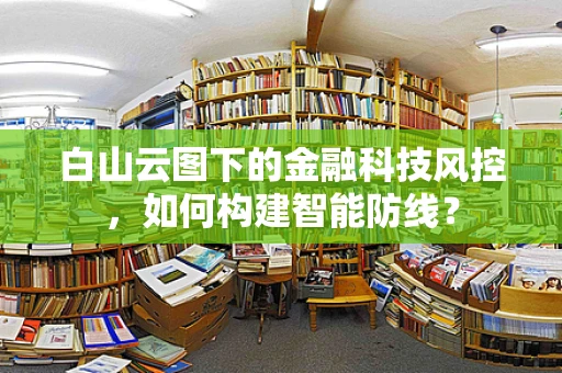 白山云图下的金融科技风控，如何构建智能防线？