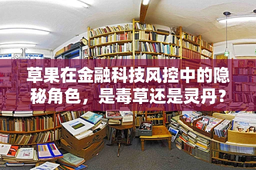 草果在金融科技风控中的隐秘角色，是毒草还是灵丹？