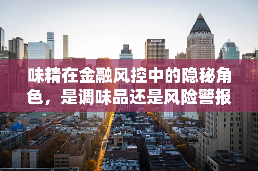 味精在金融风控中的隐秘角色，是调味品还是风险警报器？