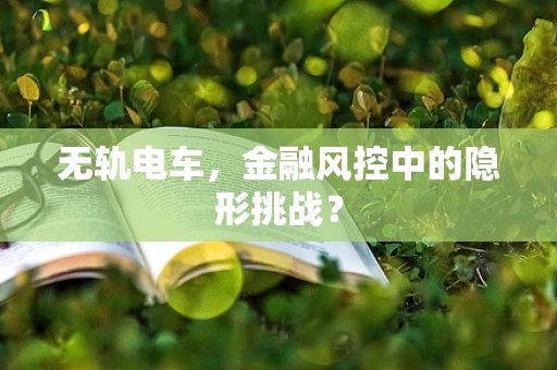 无轨电车，金融风控中的隐形挑战？
