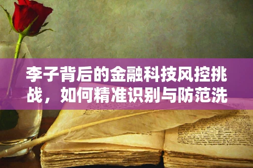 李子背后的金融科技风控挑战，如何精准识别与防范洗钱风险？