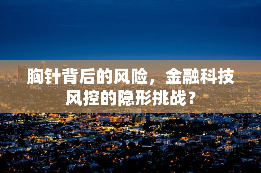 胸针背后的风险，金融科技风控的隐形挑战？