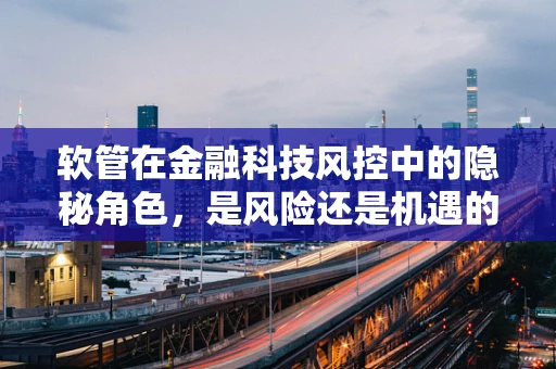 软管在金融科技风控中的隐秘角色，是风险还是机遇的‘输送带’？