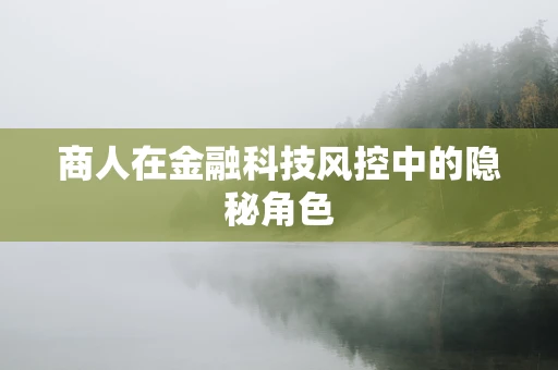 商人在金融科技风控中的隐秘角色