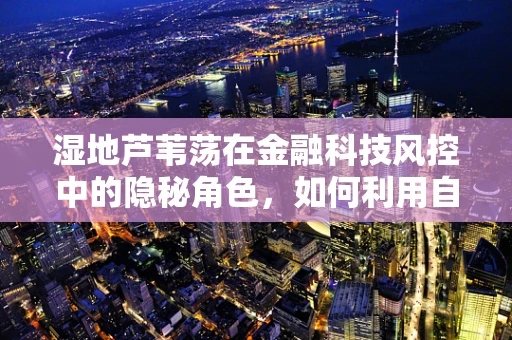 湿地芦苇荡在金融科技风控中的隐秘角色，如何利用自然元素构建风险防御网？