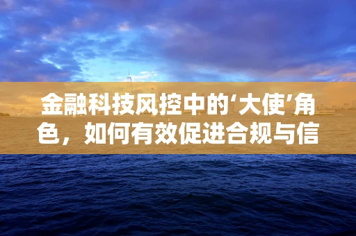 金融科技风控中的‘大使’角色，如何有效促进合规与信任？