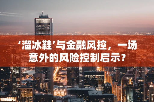 ‘溜冰鞋’与金融风控，一场意外的风险控制启示？