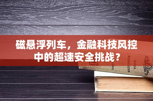 磁悬浮列车，金融科技风控中的超速安全挑战？