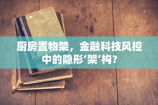 厨房置物架，金融科技风控中的隐形‘架’构？