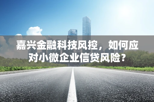 嘉兴金融科技风控，如何应对小微企业信贷风险？