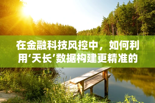 在金融科技风控中，如何利用‘天长’数据构建更精准的预警系统？