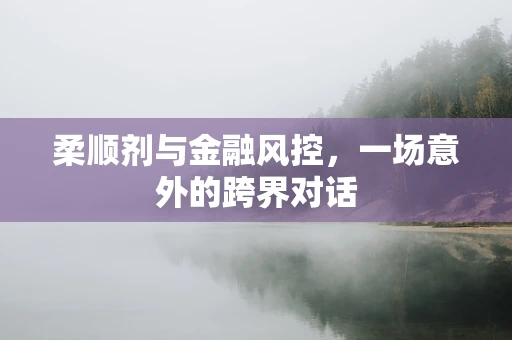 柔顺剂与金融风控，一场意外的跨界对话