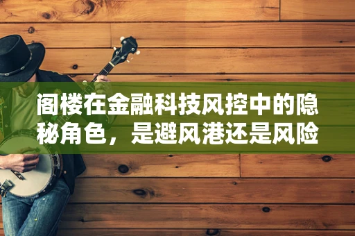 阁楼在金融科技风控中的隐秘角色，是避风港还是风险源？