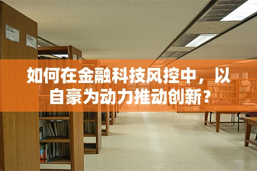 如何在金融科技风控中，以自豪为动力推动创新？